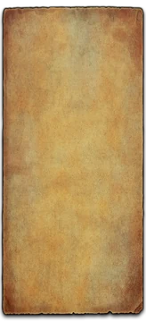 Healer, from the game's History